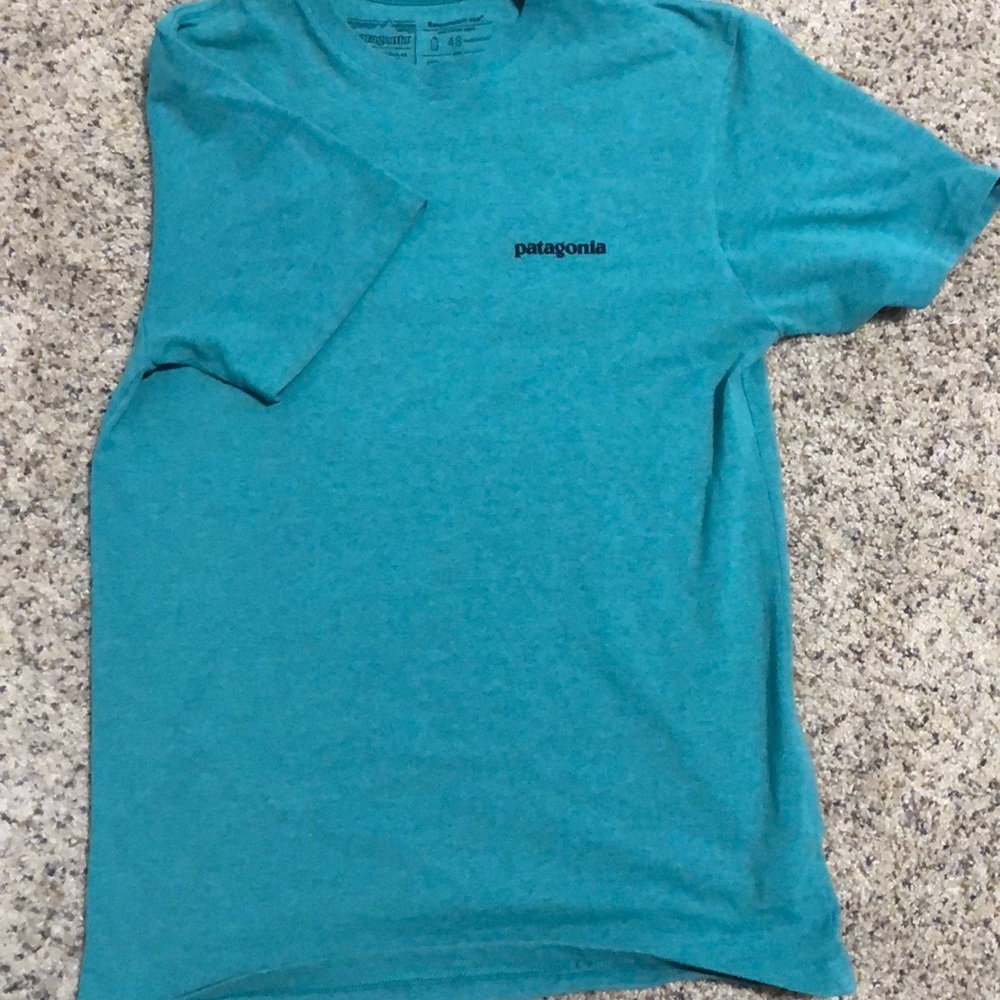 Green Men’s Patagonia T-Shirt